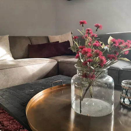 Edle Altbauwohnung Trifft Oberbayrisches Bergidyll Апартаменты Байришцелль