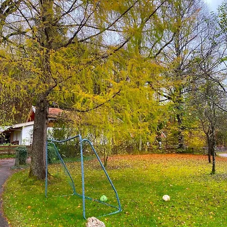 Apartamento Edle Altbauwohnung Trifft Oberbayrisches Bergidyll Bayrischzell